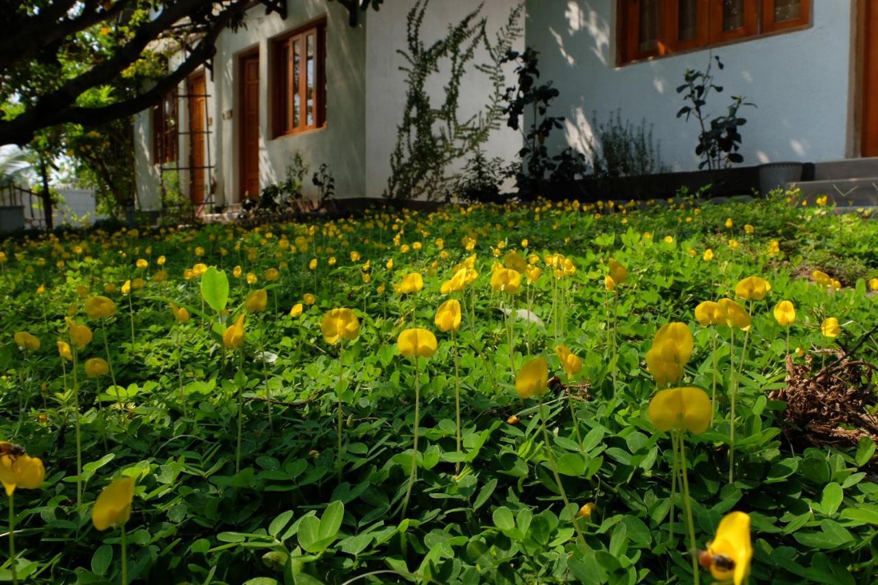 Dao Hoa Vang Villa Cam Ranh Ngoại thất bức ảnh